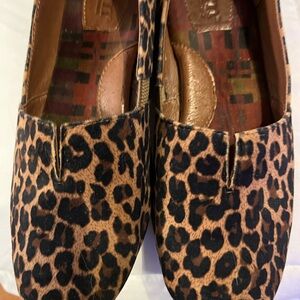 Beautiful and comfortable flats